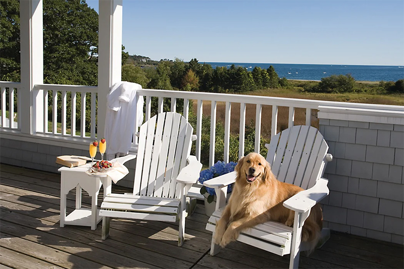 Tips for Pet-Proofing Outdoor Furniture  Your outdoor space is a great place to share great times with your family, to clear your mind, and to connect with nature. That is why you need to take care of your outdoor furniture. Taking care of outdoor furniture involves pet-proofing it. When you pet-proof your outdoor furniture, your pets are less likely to destroy it. For instance, your cats will not scratch it, and your dogs will not chew it. Below are more details about how to pet-proof your outdoor furniture.   Spritz Your Outdoor Furniture With a Vinegar-Scented Spray  Pets dislike certain scents. For instance, dogs and cats dislike the smell of vinegar. Therefore, you should spray vinegar-scented spray on your outdoor furniture to keep pets away from it. You can get such a spray from a pet store.   If you do not want to buy spray from a pet store, you can make it yourself. To make it, you will need a clean spray bottle, water, distilled vinegar, and citrus essential oil. After collecting all these ingredients, put water in the clean spray bottle, and add two tablespoons of your vinegar. Stir the mixture, and then add 20 drops of the citrus essential oil.   Place a Piece of Tape on the Furniture With the Sticky Side Up  Pets hate it when tape sticks on their paws. Therefore, placing a piece of tape on your furniture with the sticky side up will keep pets away. However, you should do this when the furniture is not in use as the tape can stick on someone's clothes.   Place a Piece of Aluminum Foil on the Furniture  Pets do not like walking or sleeping on strange surfaces that make some noise. For instance, they are less likely to sleep on aluminum foil since it makes some noise when a pet steps on it. Therefore, you should use this foil to keep pets off your outdoor furniture.  Place Slipcovers Over the Outdoor Furniture  If your pet is in the yard and you do not want it to sleep on your outdoor furniture, place slipcovers over the furniture. The pets will find the slipcovers uncomfortable. These slipcovers will also protect your furniture from other elements that might destroy it.   Coat Your Outdoor Chair Legs With Cayenne Pepper  Cayenne pepper is a common culinary ingredient. It can irritate the pet's paws, eyes, nose, and throat after the pet comes into direct contact with it.   You can use cayenne pepper to keep pets away from your outdoor furniture. For instance, you can rub it on the legs of your outdoor chairs. You can also mix it with water and spray the mixture on your furniture. Pets will stay away from the furniture when you do this.   Your pets can destroy your outdoor furniture. Therefore, you need to ensure that your outdoor furniture is pet-proof. There are a variety of ways that you can prevent your pet from getting on your furniture, so find the one that is right for you and your pet.