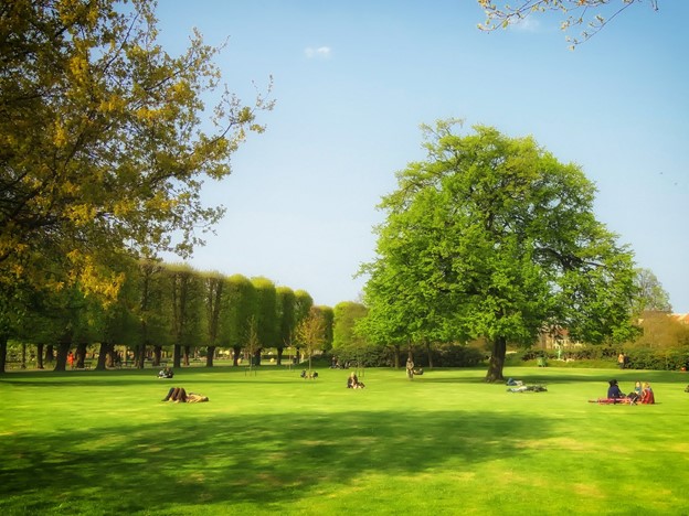 The Importance of Public Parks