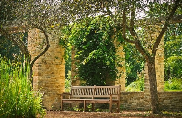 Wood Bench