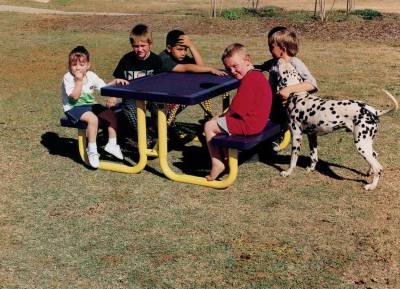 Elementary 6' and 8' Regal Picnic Table - Portable - Image 2